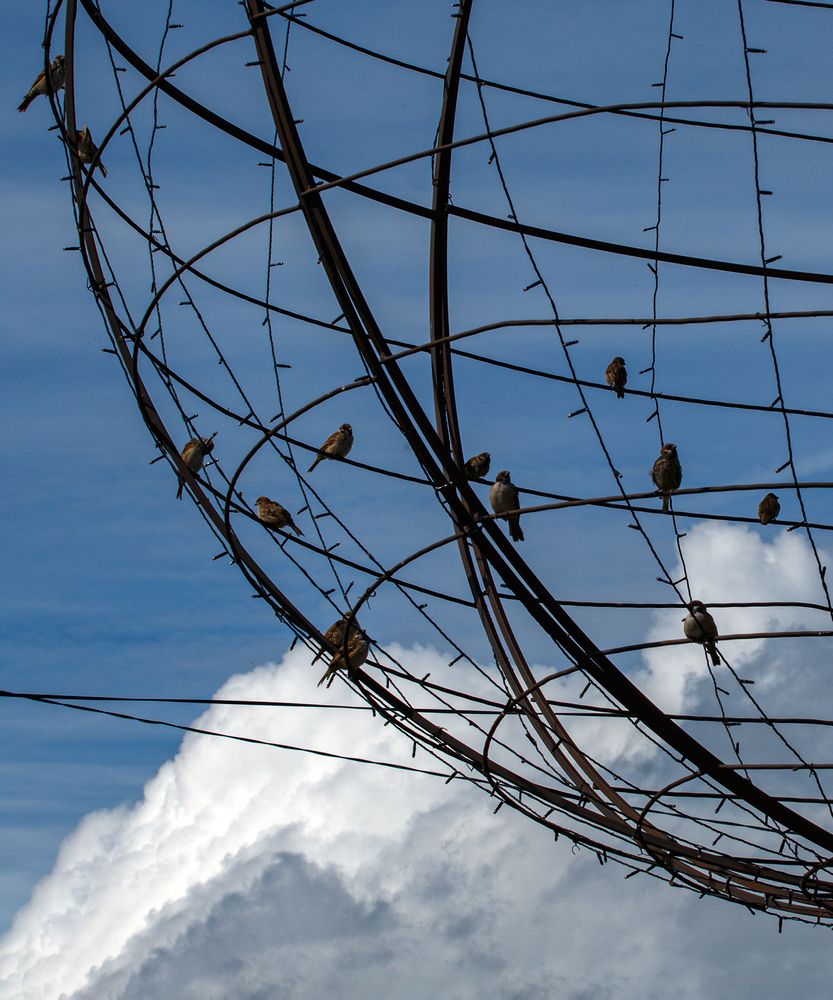 Photograph by Надежда Хрусталёва