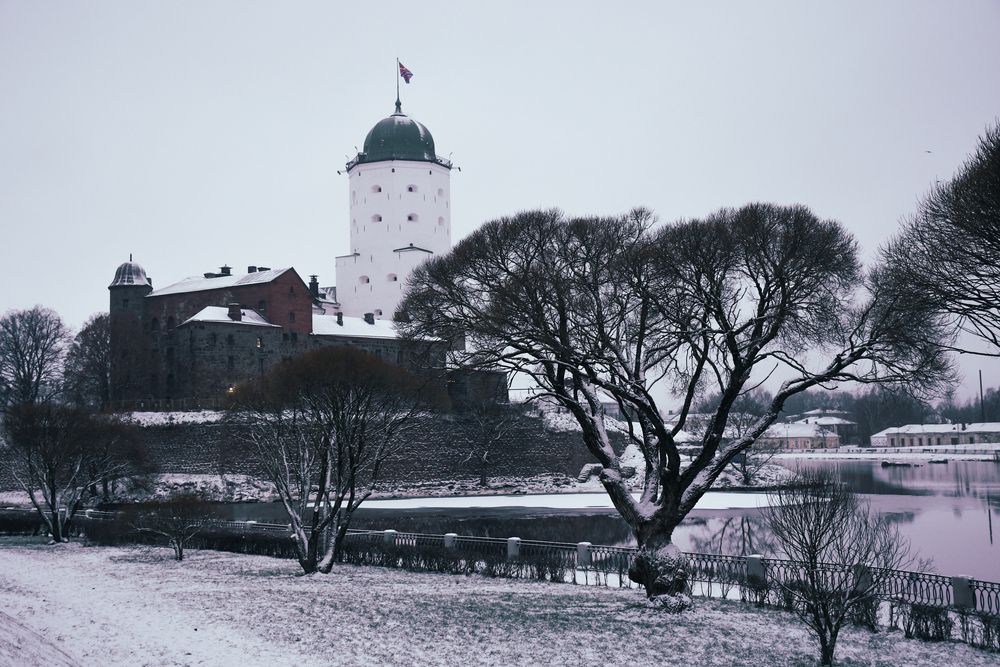 Photograph by Светлана Гордиенко