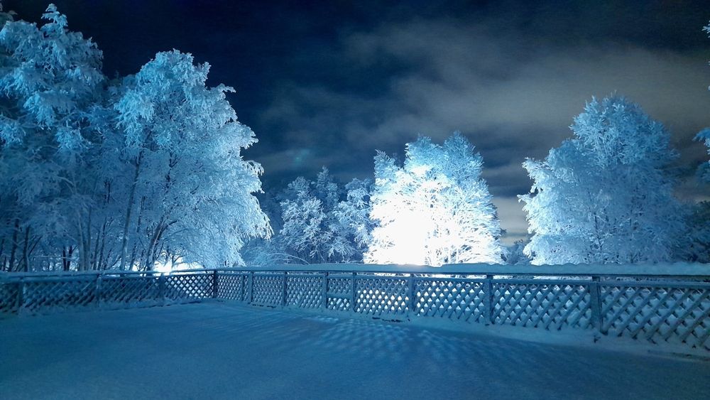 Photograph by Ольга Яскунова