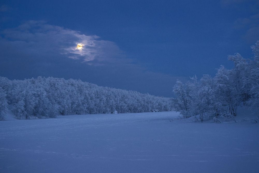 Photograph by Ольга Яскунова