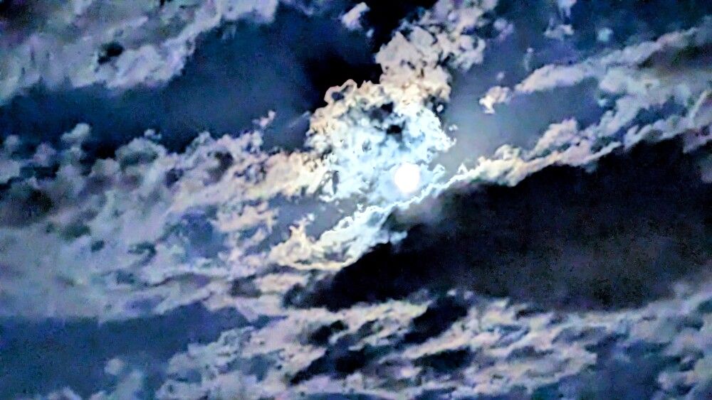 Photograph by Lilit Petrosyan