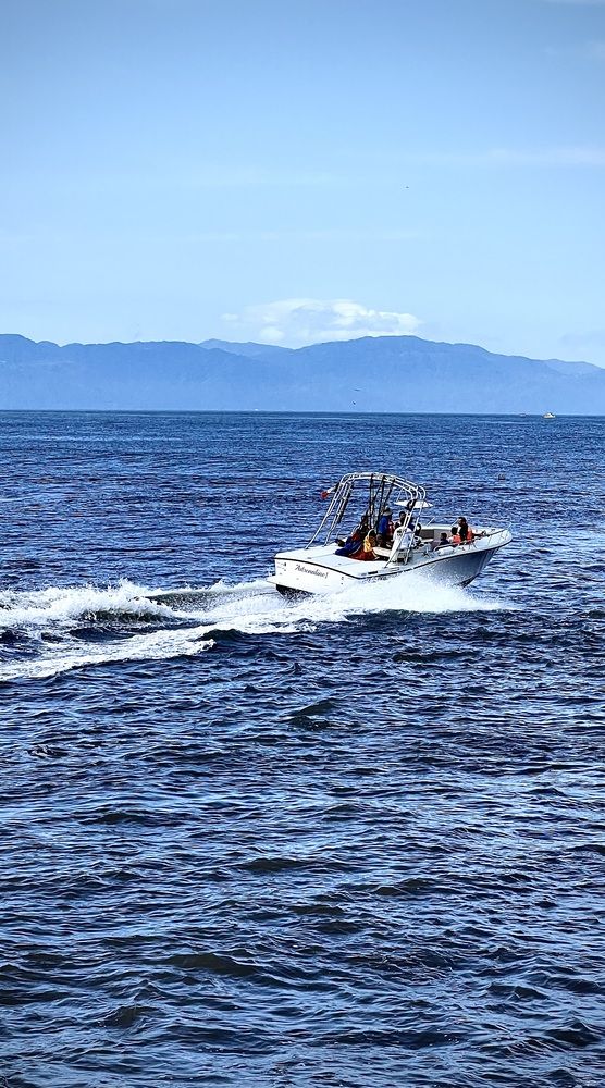 Фотография автора Татьяна Мичу-Николаевич