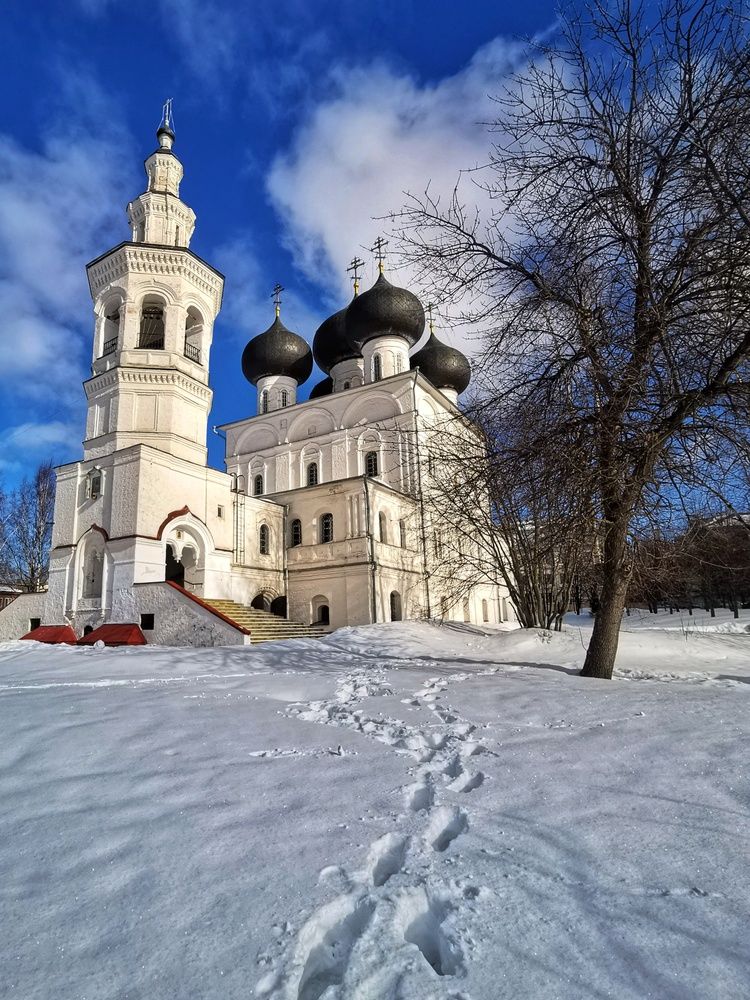 Фотография автора Андрей Шестаков