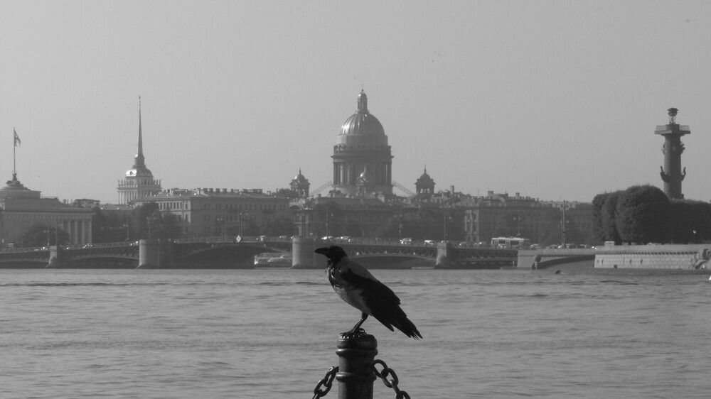 Photo #12961082
