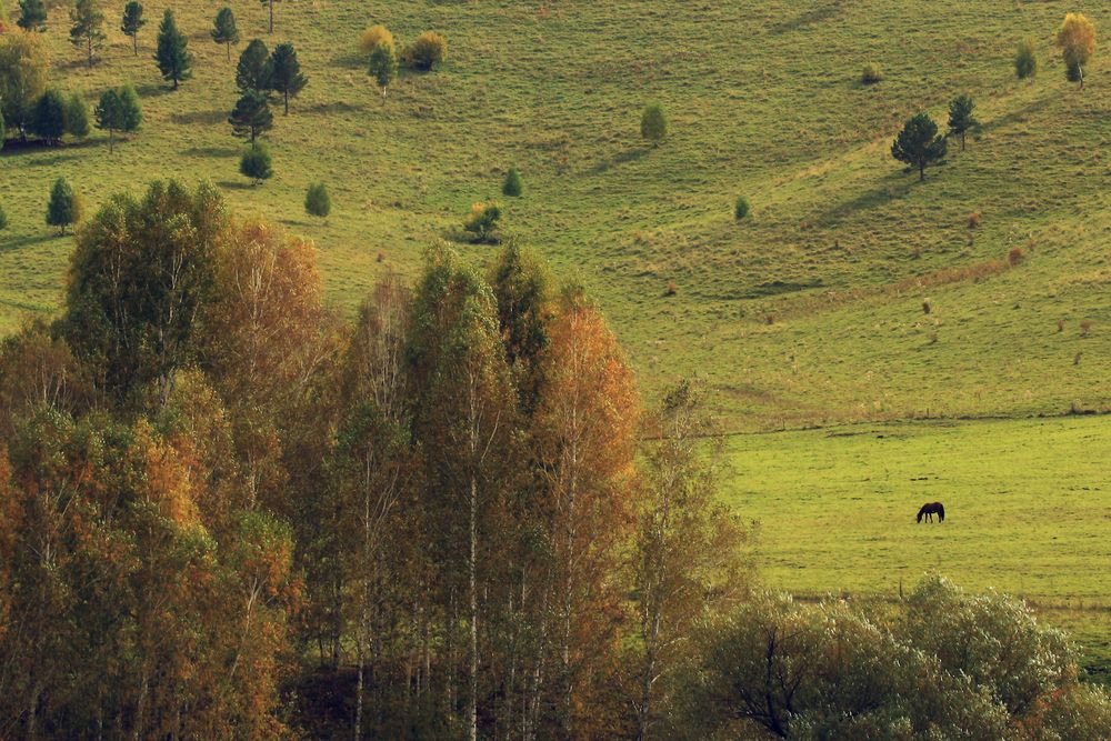 Photograph by Юлий Ахромеев