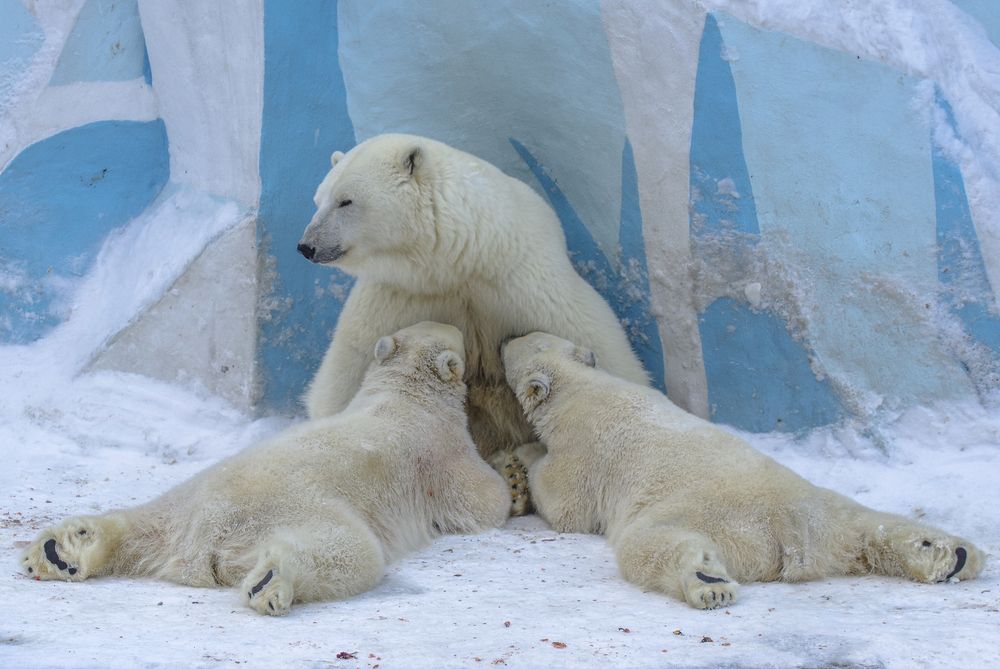 Photograph by Михаил Измайлов