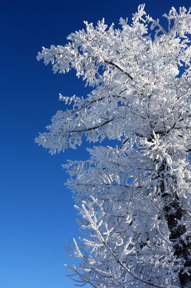 Photograph by Марина