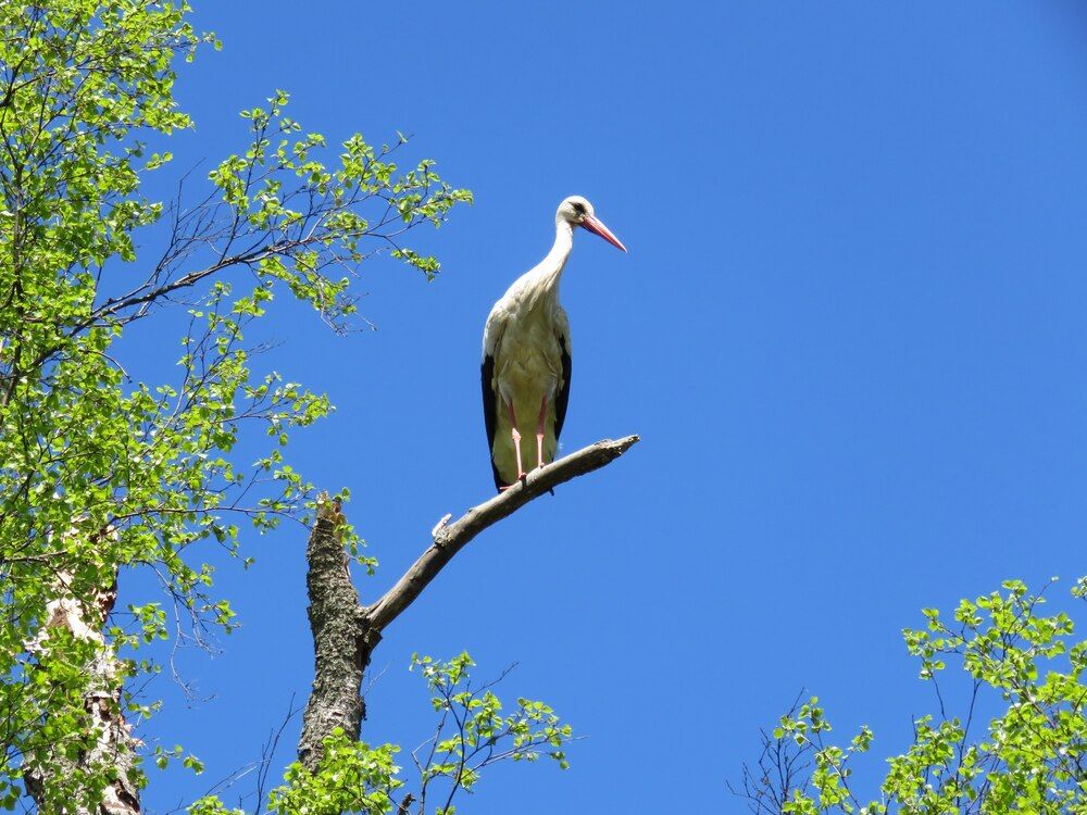 Photograph by Валерия Яскович