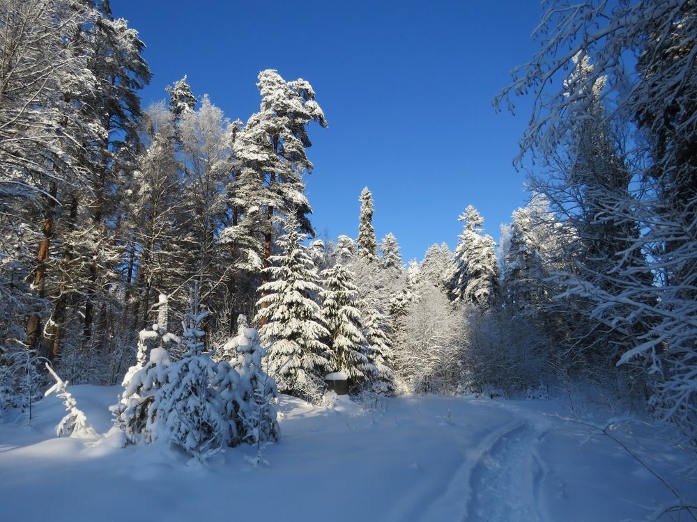 Photograph by Валерия Яскович