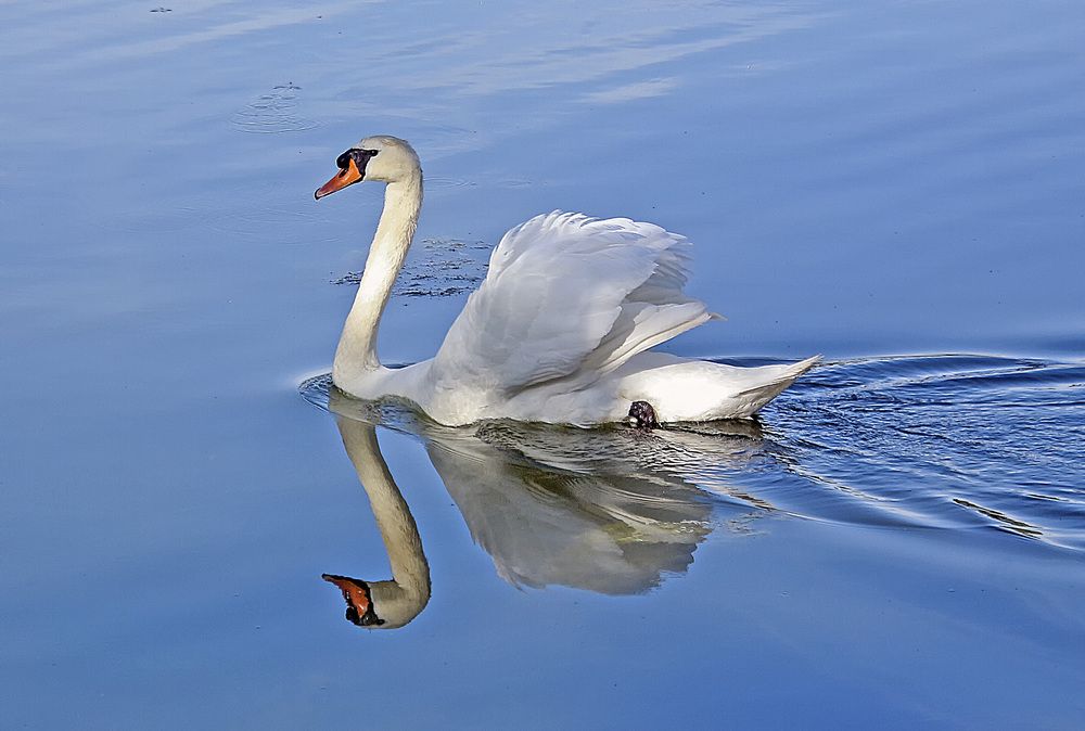 Фотография автора Александр