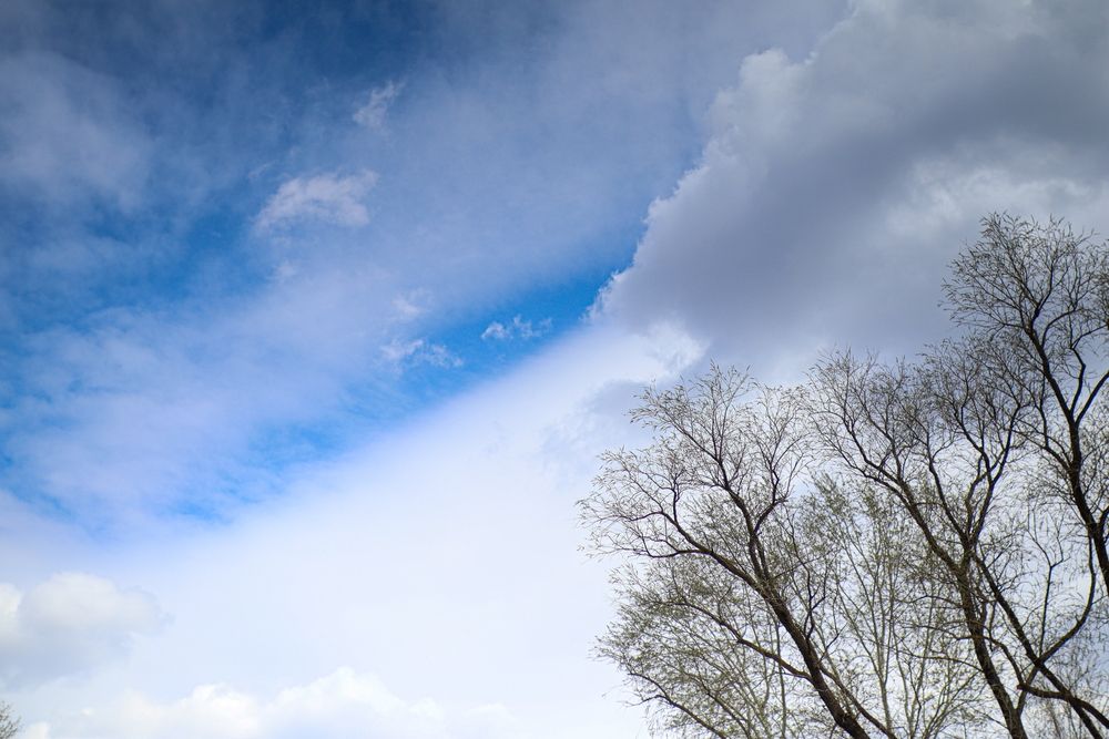 Photograph by Александр Лобынцев