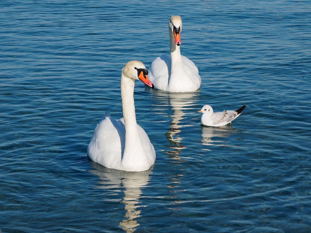 Photograph by Борис Полтавец