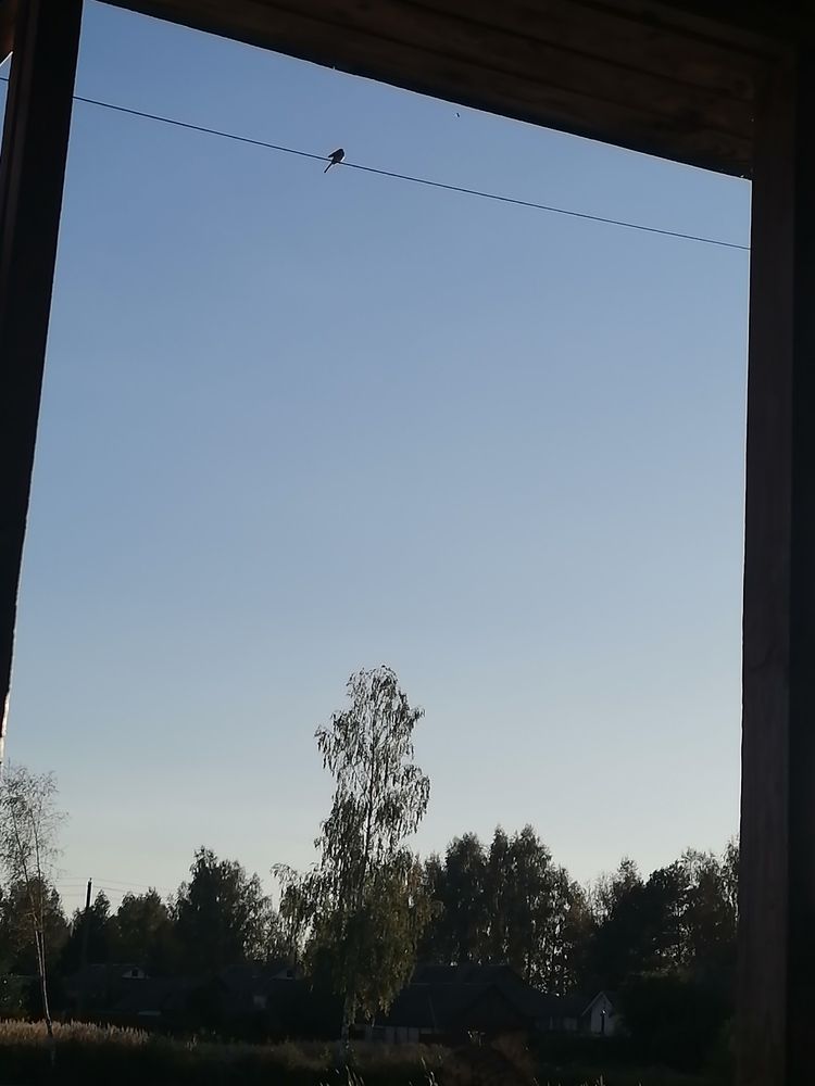 Photograph by Маргарита