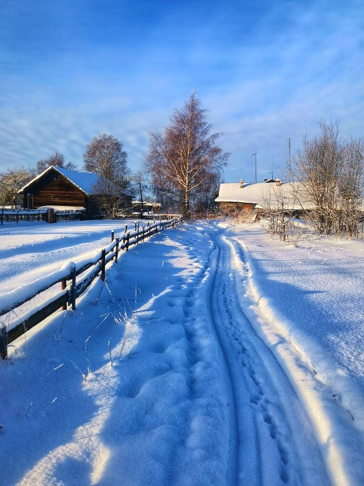 Фотография автора Андрей Шестаков