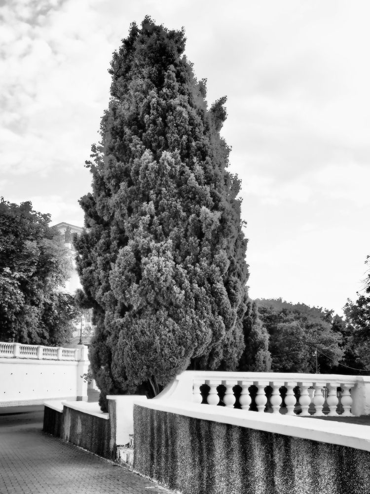 Photograph by Сергей Борисов