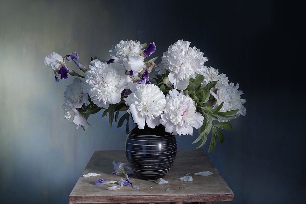 Photograph by Вера  Павлухина