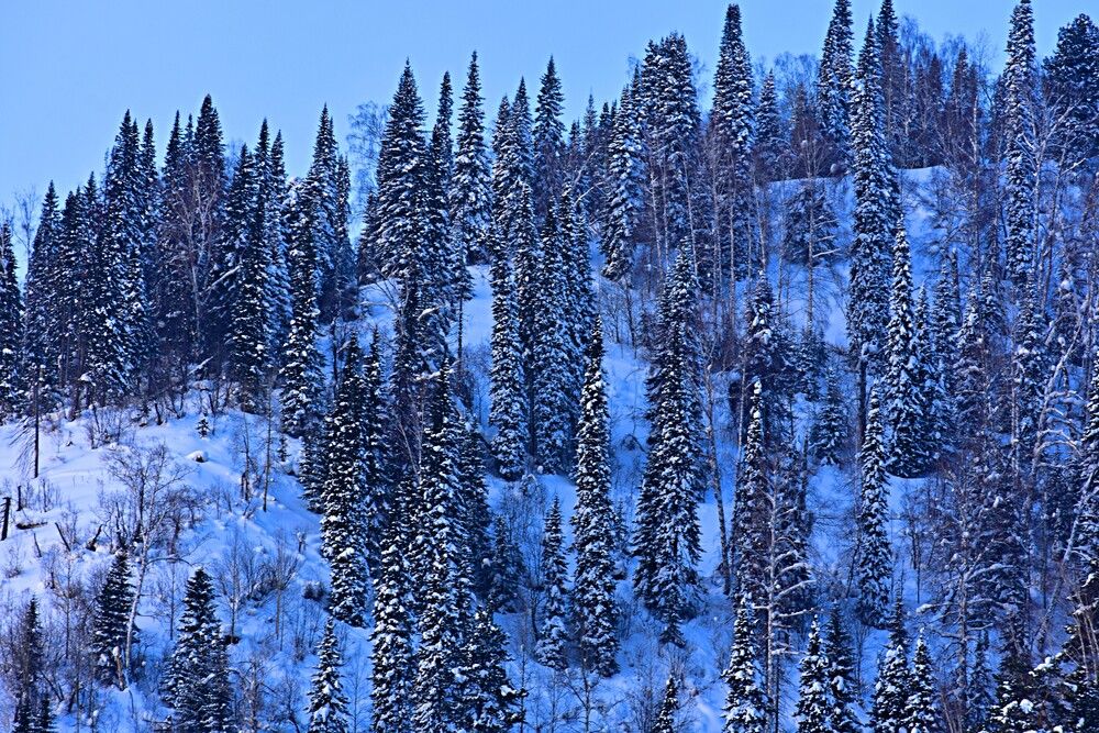 Photograph by Александр Прядко