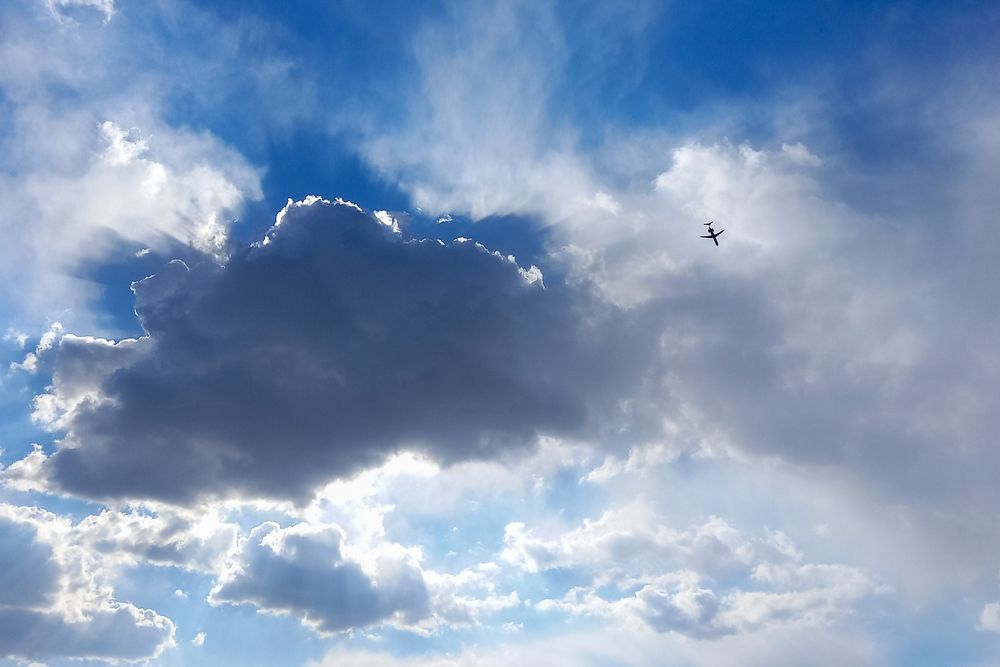 Photograph by Marjan Rezaeyan