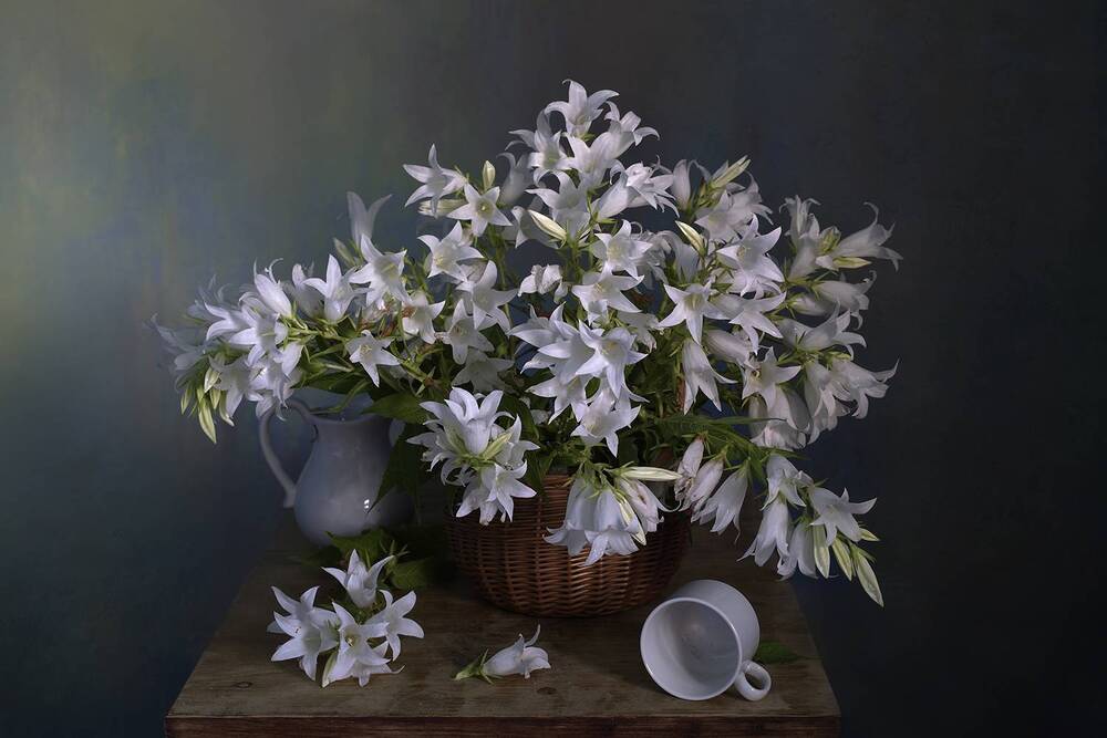 Photograph by Вера  Павлухина