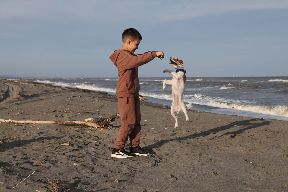 Photograph by Дина Чехова