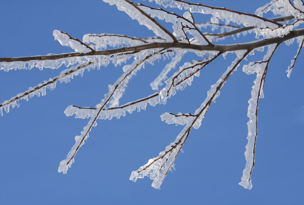 Photograph by Ионова Татьяна