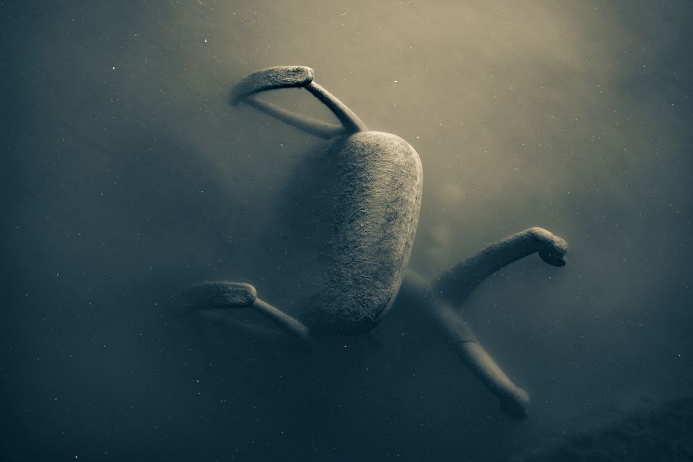 Photograph by Анастасия Богомолова