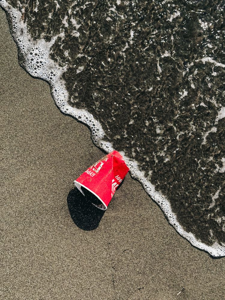 Photograph by Дина Чехова