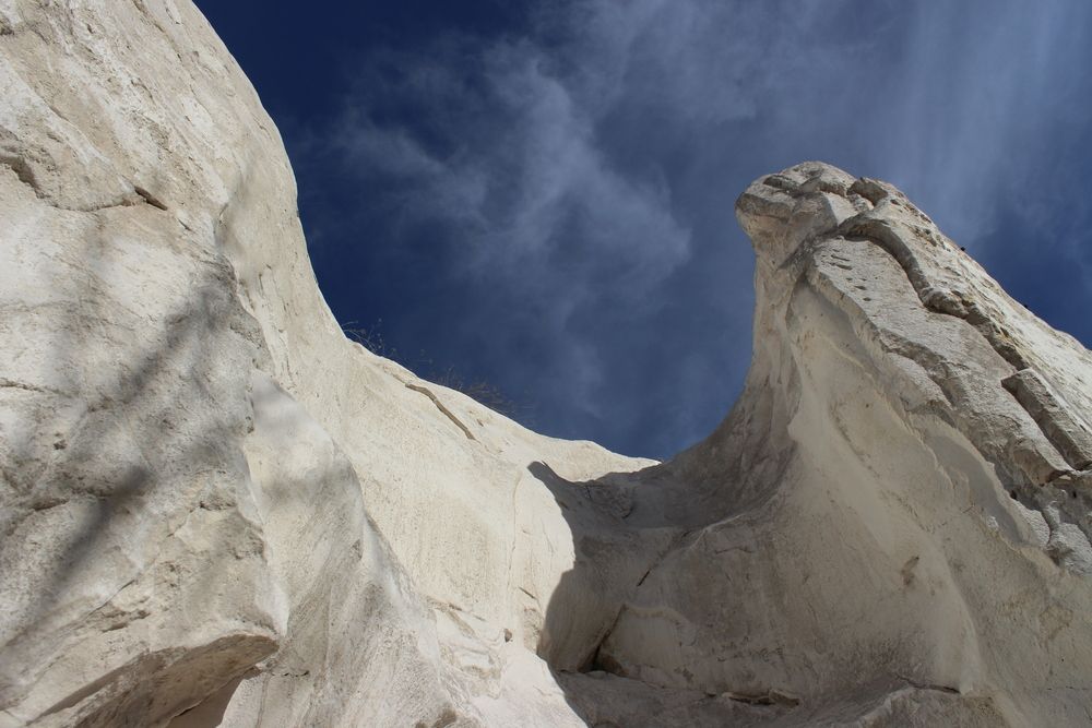 Photograph by Светлана Шубина