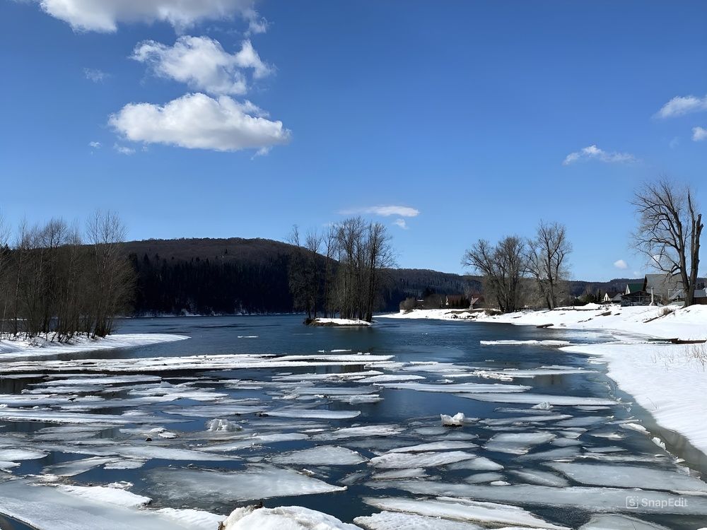 Photograph by Алла Саблина