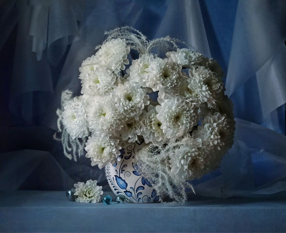 Photograph by Elena Novikova