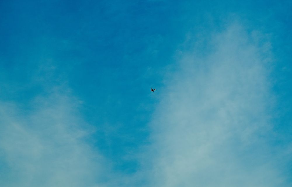 Фотография автора Vijay Richhiya