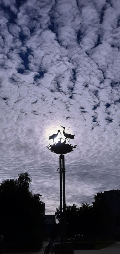 В центре Вселенной