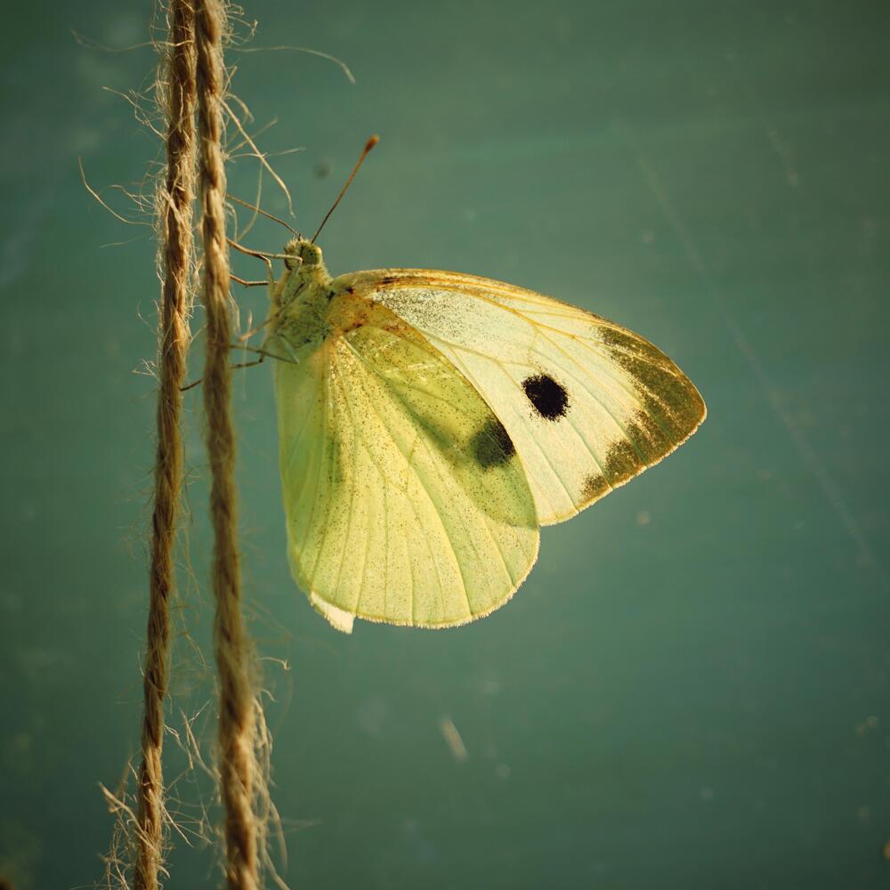 Photograph by Андрей Литов