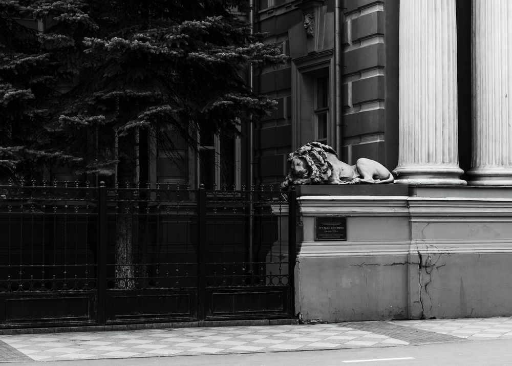 Photograph by Юлия Герман