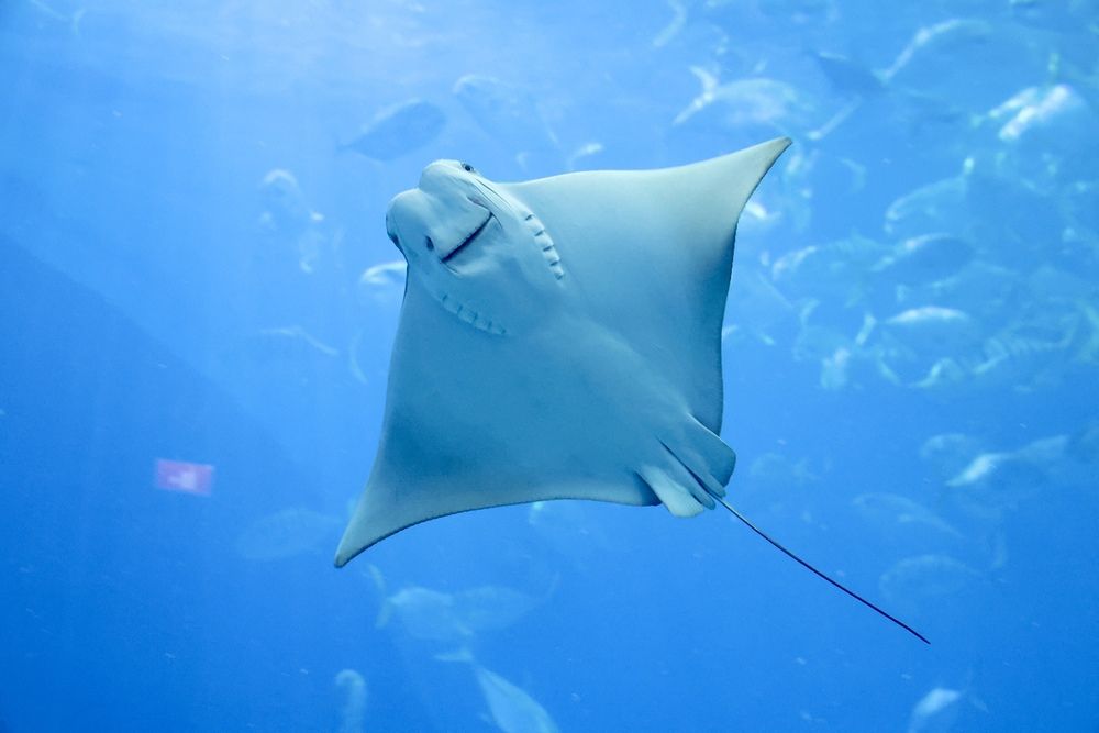 Photograph by Дина Чехова