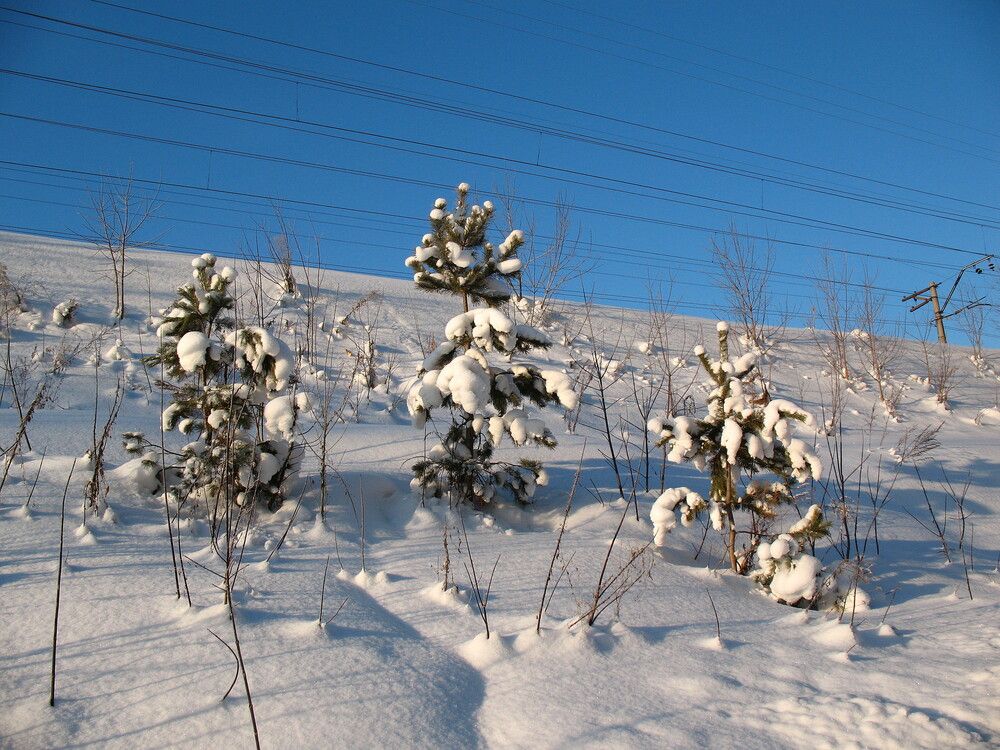 Photograph by Владимир