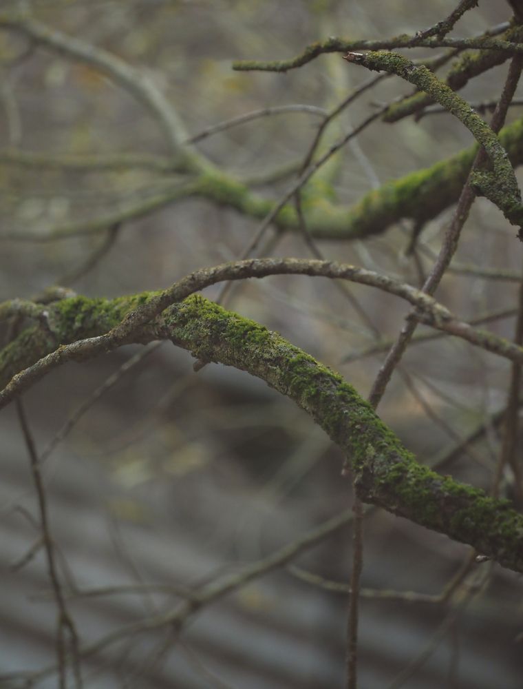 Photograph by Юлия Герман