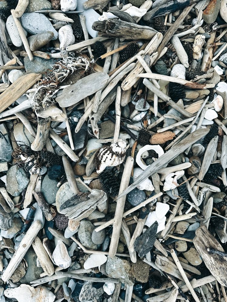 Photograph by Дина Чехова