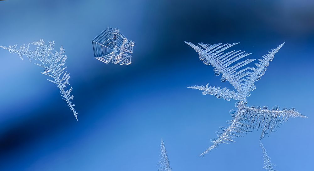 Дыхание зимы