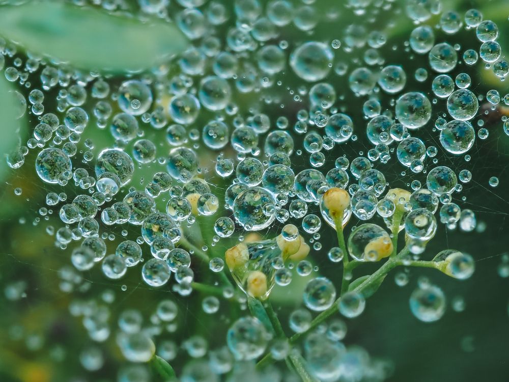 Photograph by Ирина Протченко