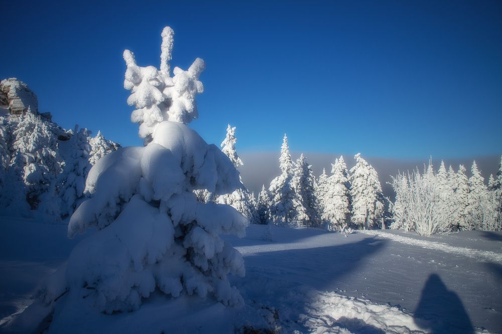 Photograph by Никита Костылёв