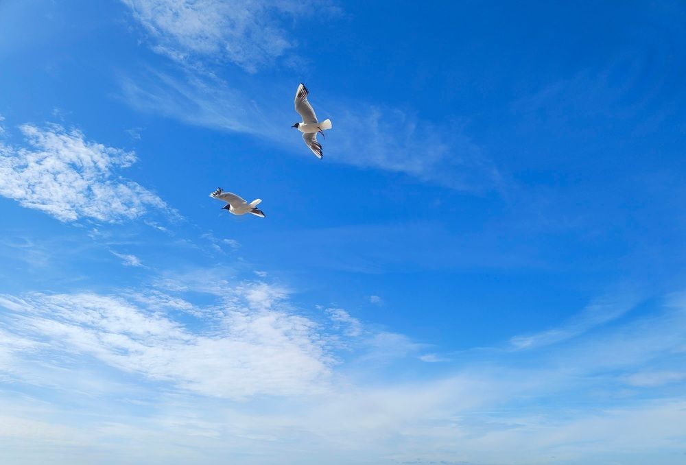 Photograph by Вероника Летецкая