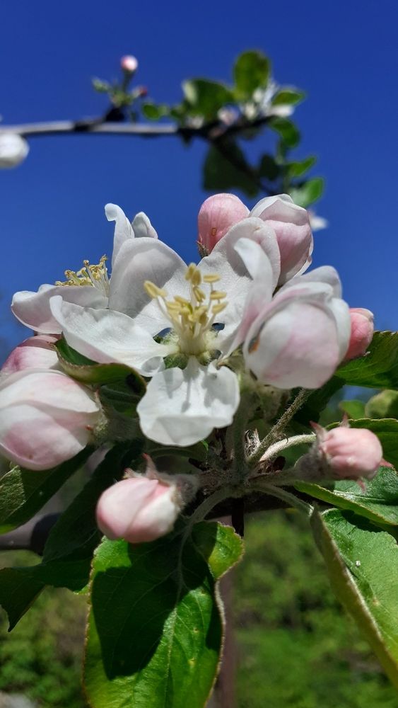 Photograph by Елена Лещева