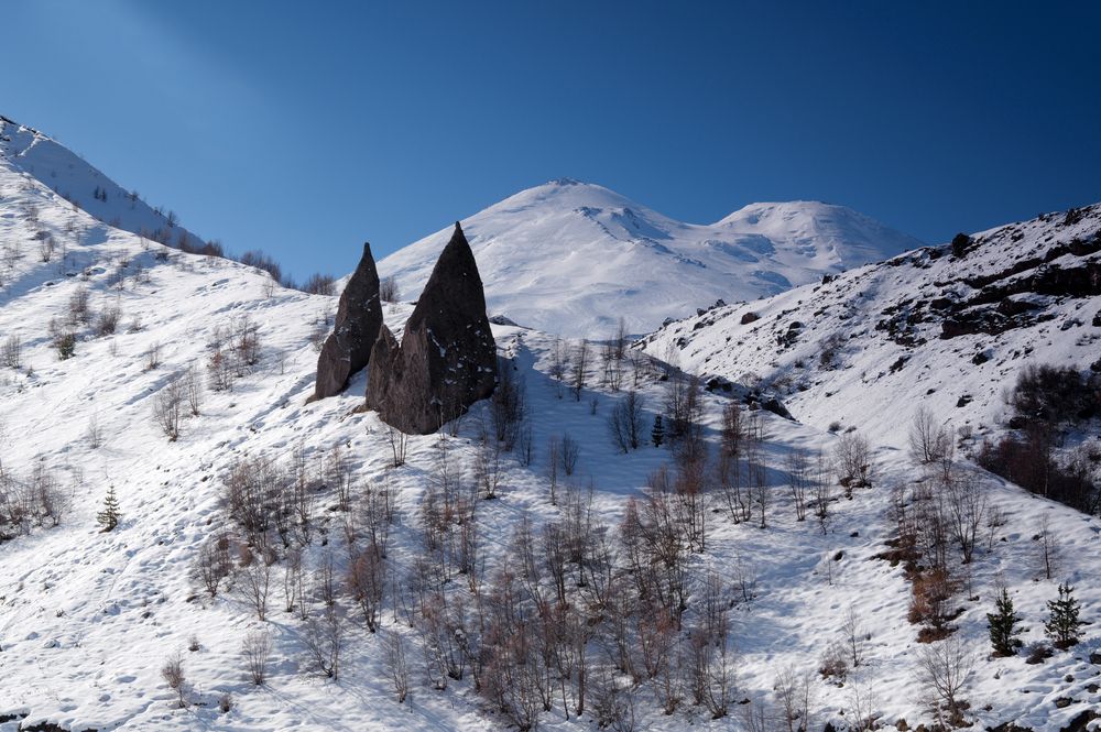 Photograph by Александр Журавлев