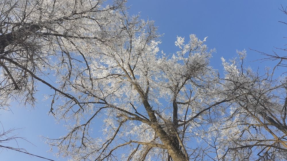 Photograph by Елена Лещева