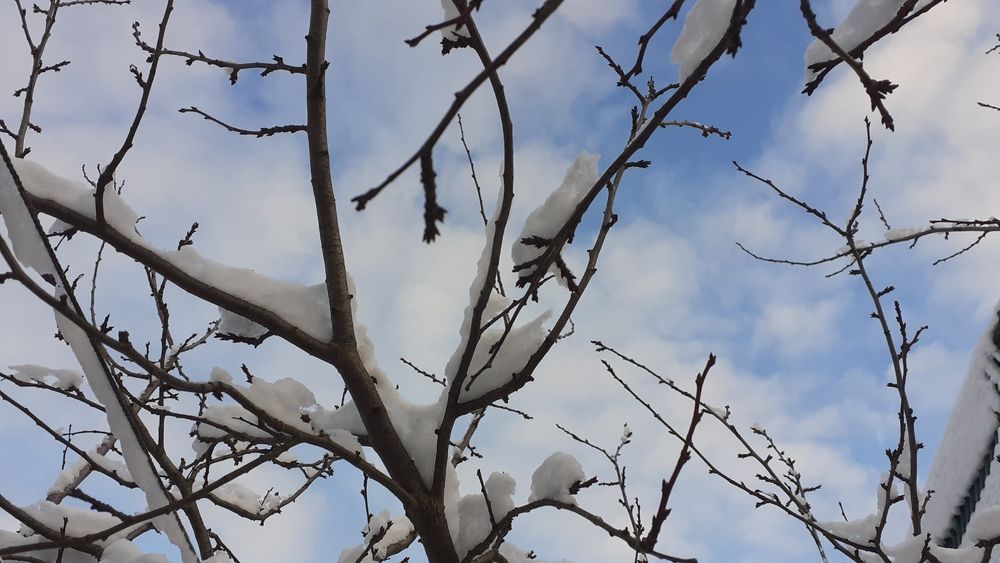 Photograph by Елена Лещева