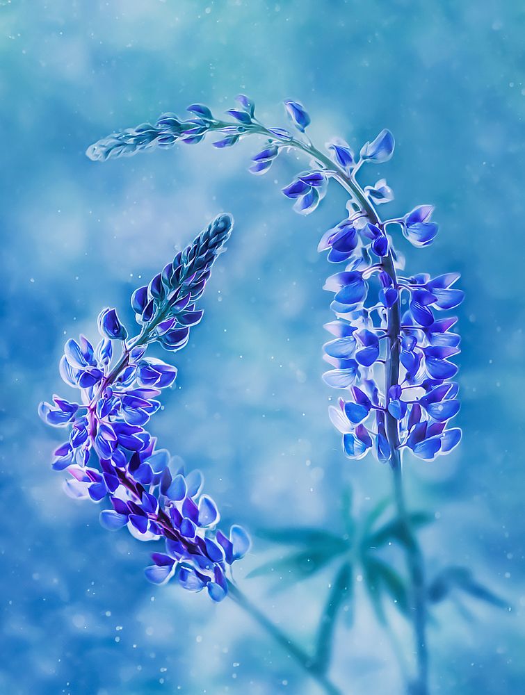 Photograph by Дарья Яновцева