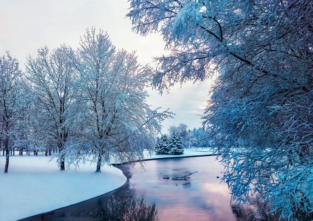 Photograph by Дарья Яновцева