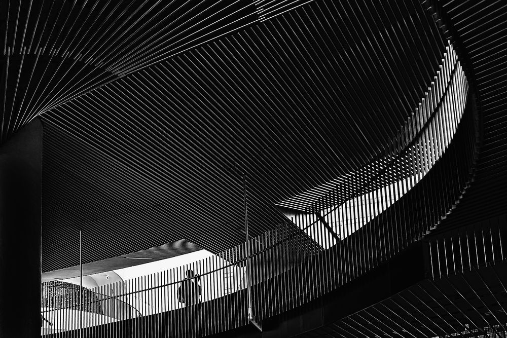 Фотография автора KOHAGI