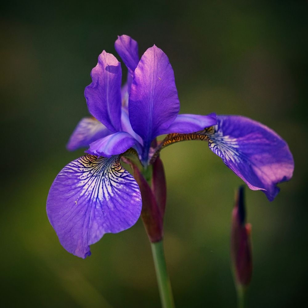 Photograph by Андрей Литов
